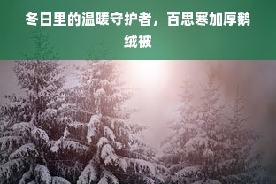 冬日里的温暖守护者，百思寒加厚鹅绒被