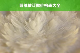 鹅绒被订做价格表大全