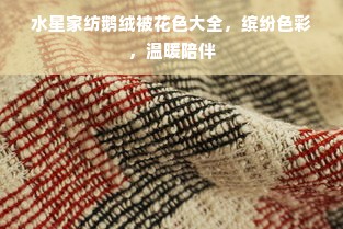 女服装品牌有什么区别，探寻时尚界的个性与风格