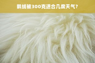 鹅绒被300克适合几度天气？