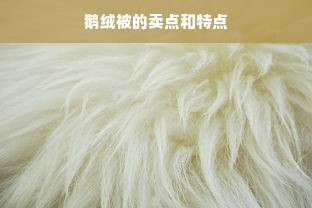 鹅绒被的卖点和特点