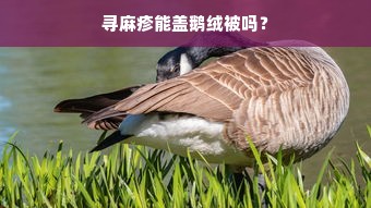 寻麻疹能盖鹅绒被吗？