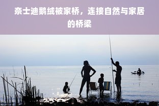 奈士迪鹅绒被家桥，连接自然与家居的桥梁