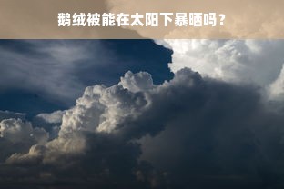 鹅绒被能在太阳下暴晒吗？