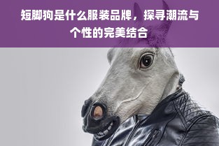 短脚狗是什么服装品牌，探寻潮流与个性的完美结合