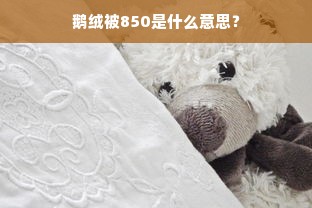 鹅绒被850是什么意思？