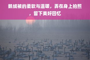 鹅绒被的柔软与温暖，弄在身上拍照，留下美好回忆