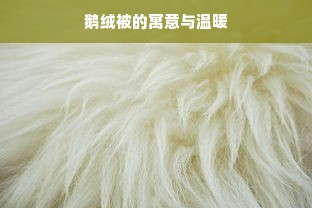 鹅绒被的寓意与温暖