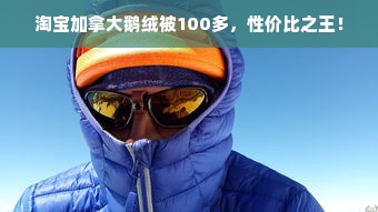 淘宝加拿大鹅绒被100多，性价比之王！