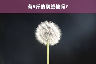 有5斤的鹅绒被吗？