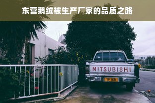 东营鹅绒被生产厂家的品质之路