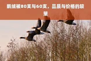 鹅绒被80支与60支，品质与价格的较量