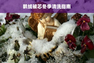 鹅绒被芯冬季清洗指南