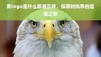 鹰logo是什么服装品牌，探索时尚界的猛禽之影