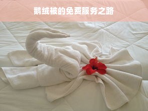 鹅绒被的免费服务之路