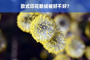 欧式印花鹅绒被好不好？