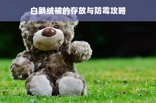 白鹅绒被的存放与防霉攻略