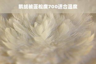 鹅绒被蓬松度700适合温度