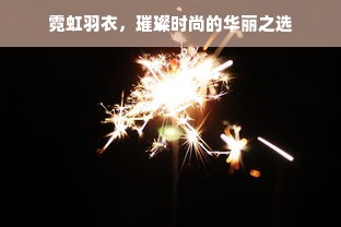 霓虹羽衣，璀璨时尚的华丽之选