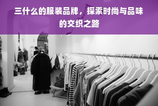 三什么的服装品牌，探索时尚与品味的交织之路