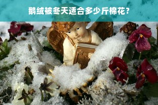 鹅绒被冬天适合多少斤棉花？