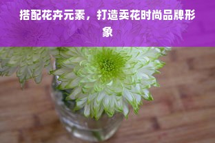 搭配花卉元素，打造卖花时尚品牌形象