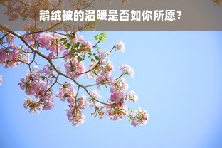 长沙鹅绒被加工厂家联系电话及业务详解