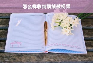 怎么样收纳鹅绒被视频