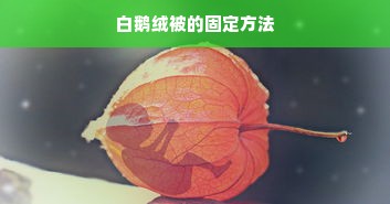 白鹅绒被的固定方法