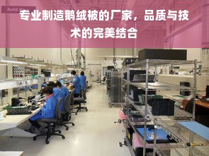 专业制造鹅绒被的厂家，品质与技术的完美结合