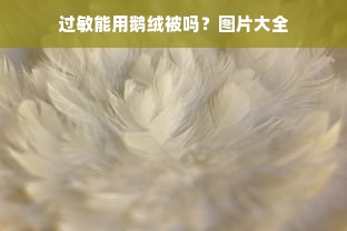 过敏能用鹅绒被吗？图片大全