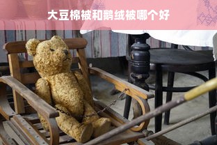 大豆棉被和鹅绒被哪个好