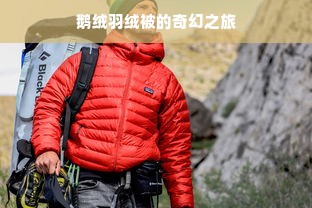 鹅绒羽绒被的奇幻之旅