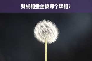 鹅绒和蚕丝被哪个暖和？