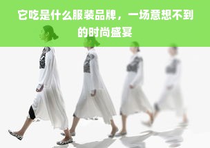 它吃是什么服装品牌，一场意想不到的时尚盛宴