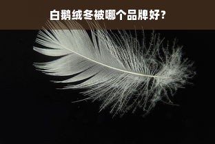 白鹅绒冬被哪个品牌好？