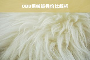 OBB鹅绒被性价比解析