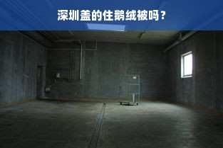 深圳盖的住鹅绒被吗？