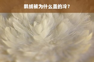 鹅绒被为什么盖的冷？