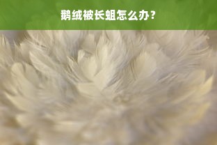 鹅绒被长蛆怎么办？