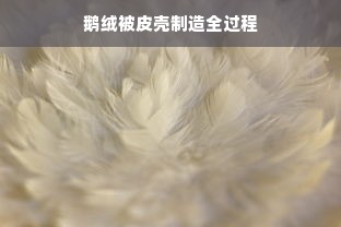 鹅绒被皮壳制造全过程