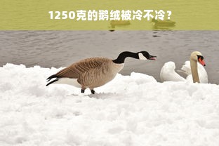 1250克的鹅绒被冷不冷？