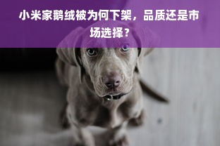 小米家鹅绒被为何下架，品质还是市场选择？