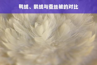 鸭绒、鹅绒与蚕丝被的对比