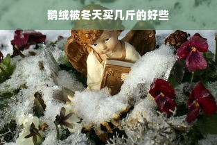 鹅绒被冬天买几斤的好些