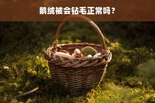 鹅绒被会钻毛正常吗？