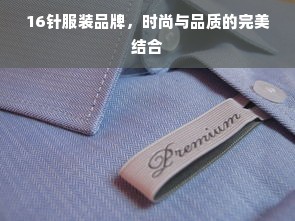 16针服装品牌，时尚与品质的完美结合