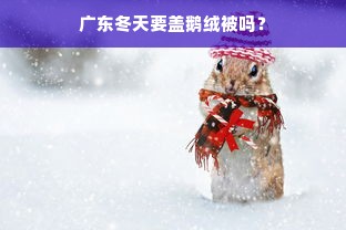 广东冬天要盖鹅绒被吗？