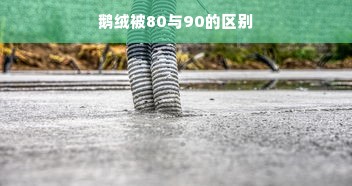 鹅绒被80与90的区别