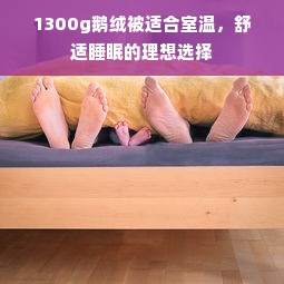 1300g鹅绒被适合室温，舒适睡眠的理想选择